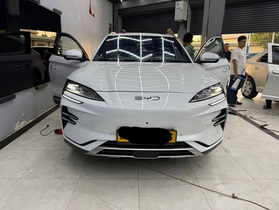 Byd champion smart