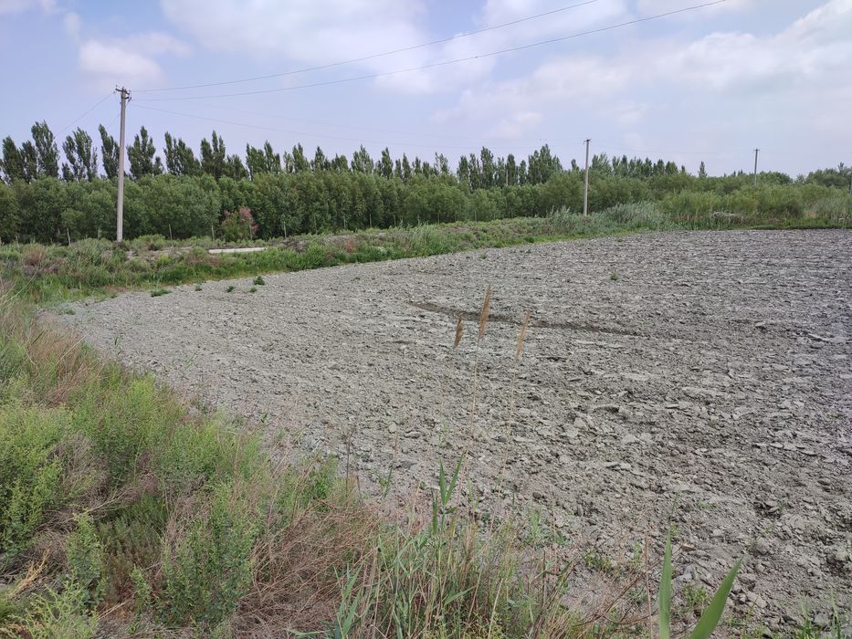 Ер сотилади Кукон атрофида.