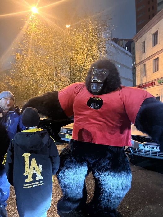 Кинг Конг, Горилла, Умка белый медведь!