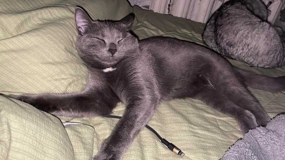 Бани в ответственные руки