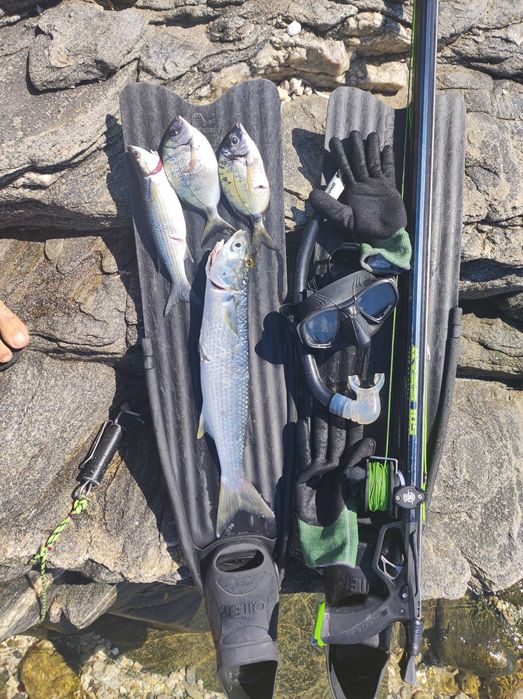 Харпун Salvimar Ares 105 см.