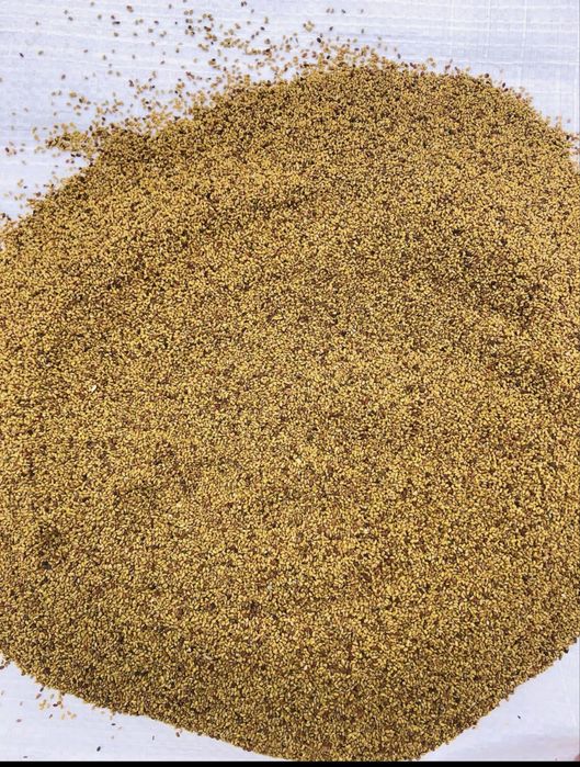 Vand samanta de ghizdei trifoi lucerna