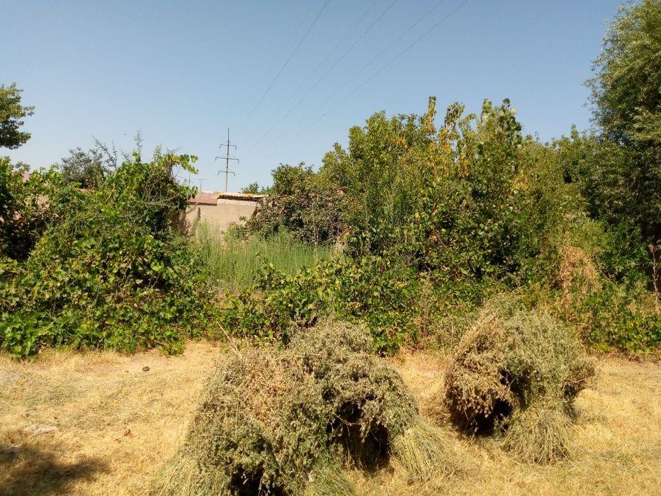 Чархинда 15 сот. 2хон.ховли