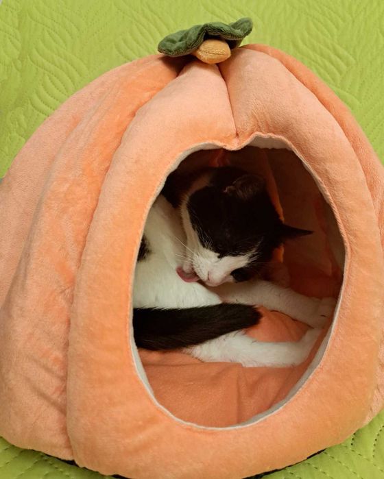 Нова Котешка Кучешка Къща * Къщичка * Легло за котка или куче *Размери