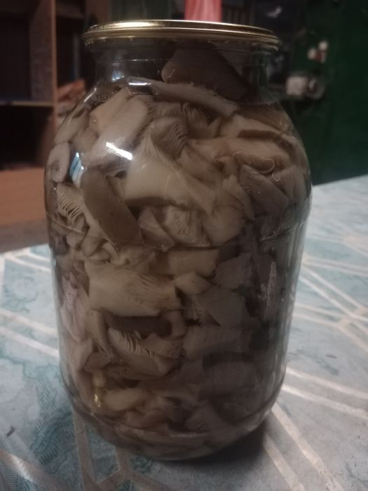 Продам соленые грибы