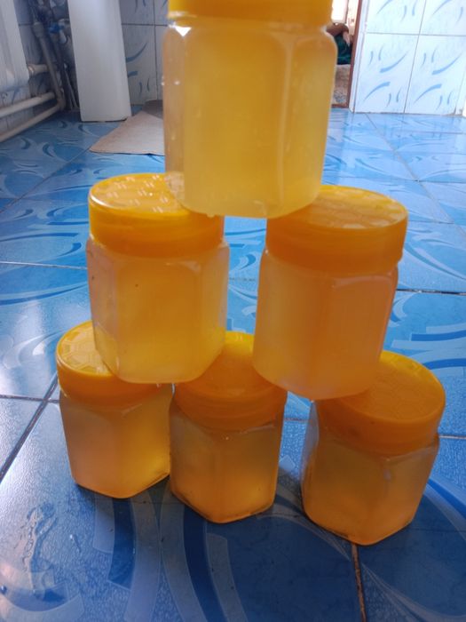 Мед каракол горная