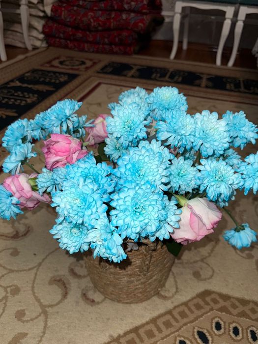 хризантема в корзине б/у