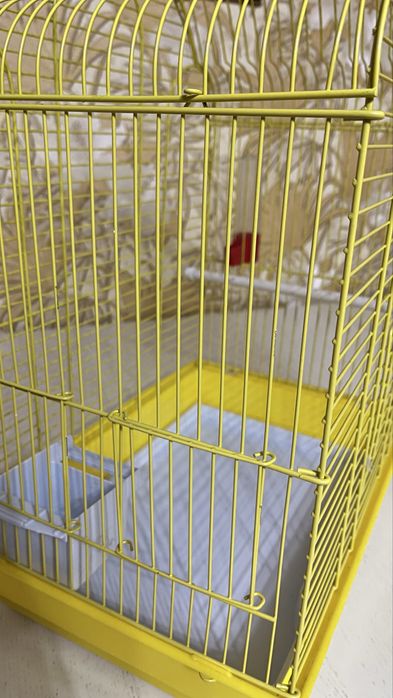 большая клетка для птичек