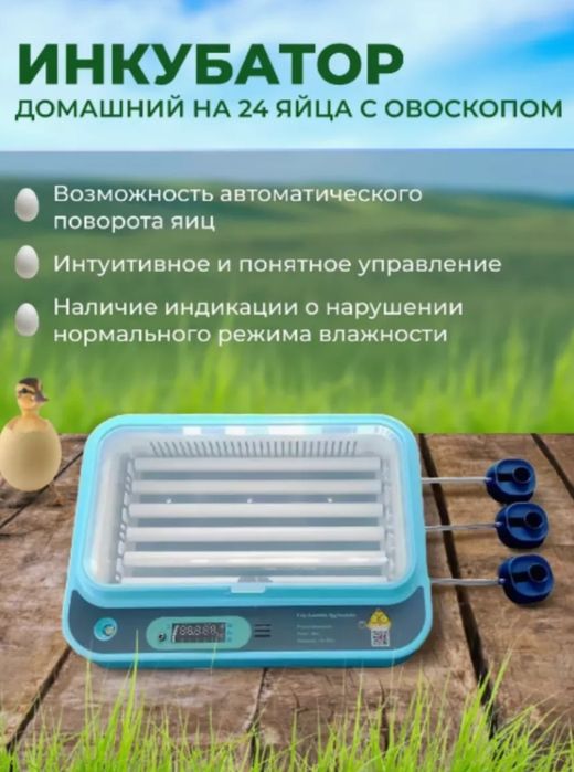Инкубатор для яиц