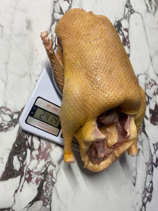 Disponibile rate pekin de carne