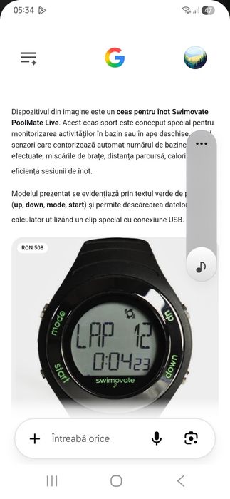 CeasPoolmatelive