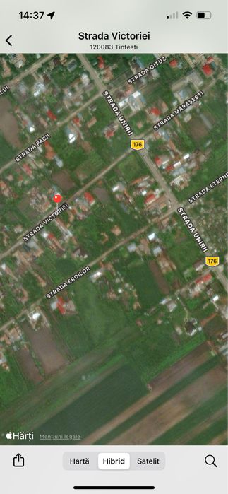 Teren Tintesti 1000 mp + Casa Demolabila