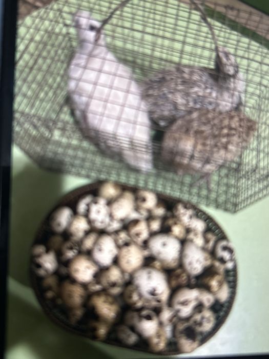 Подпишись на этот номер???