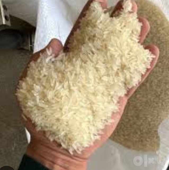 Lazer oʻptimga beramiz