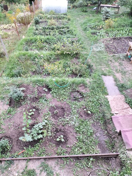 Продам дачу в ущелье Байбулак