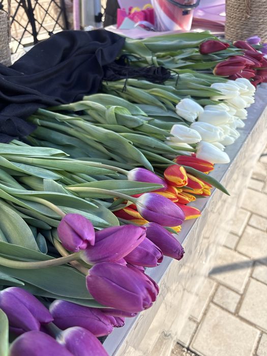 Тюльпаны Оптом по 400 ТЕНГЕ!Алматы