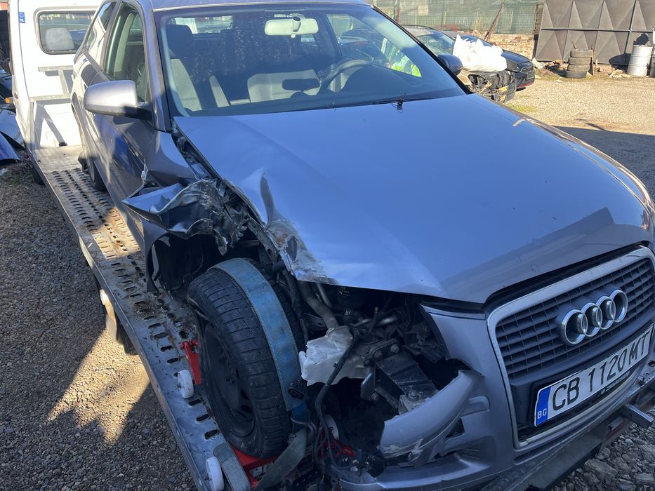 Audi A3 8P 1.9TDI BLS на части