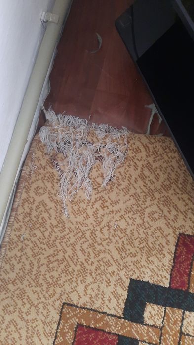 Кілем жағдайы жақсы