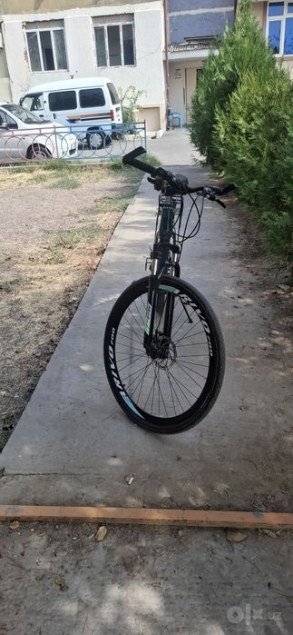 Velosiped 29: Arivo