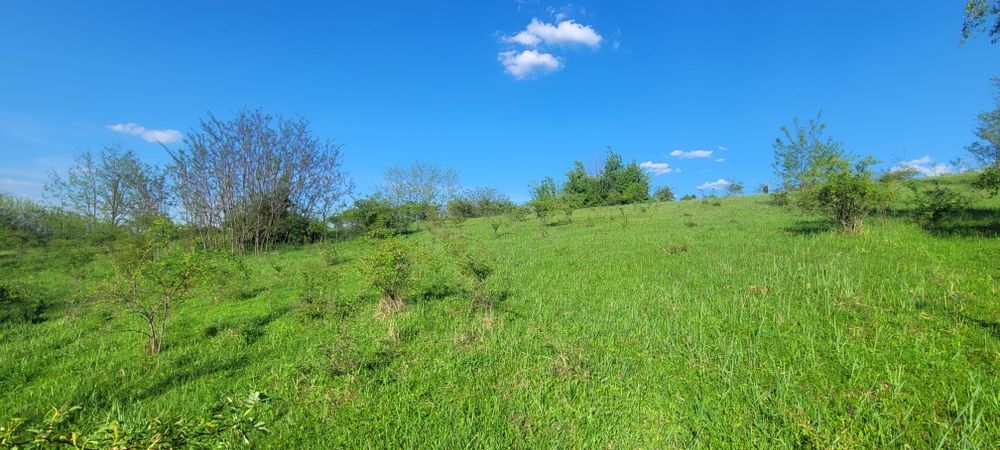 Vand teren arabil 3 ha