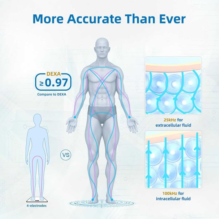 Cântar Smart Lepulse 8 Electrozi - 20 Metrici - Analiză Segmentală