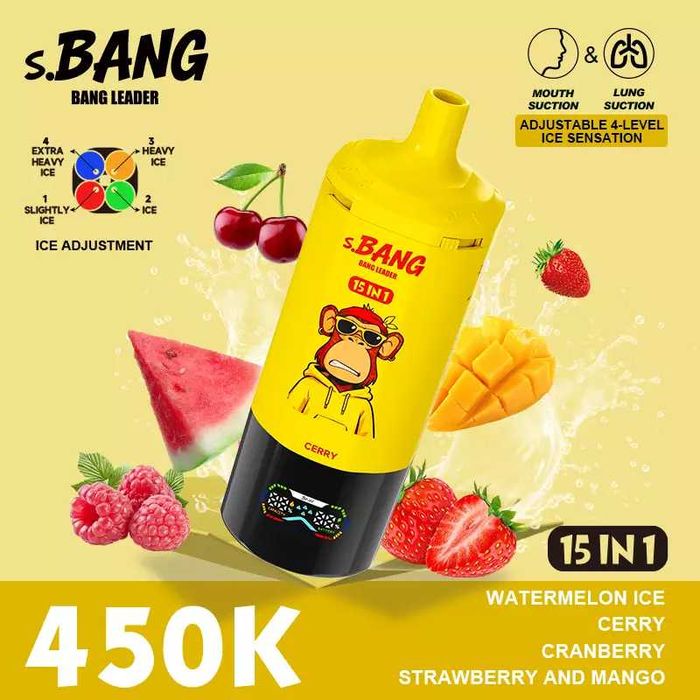 Bang 450k reincarcabil 15 in 1 multe arome!