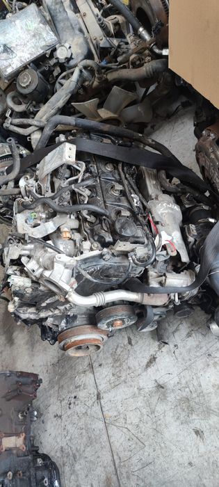 Motor nissan Navara pathfinder 2.5 190cp 177cp 3.0 v6 v9x