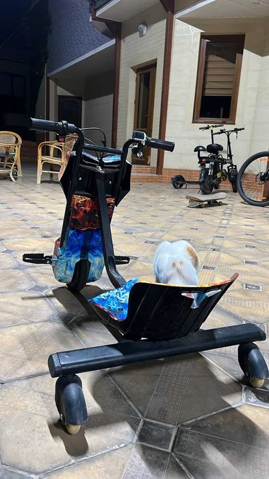 Продается MINIPRO Drift-Trike Mi T01 «Огонь и лёд»