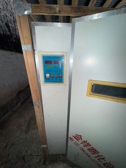 Инкубатор на 5000 яиц