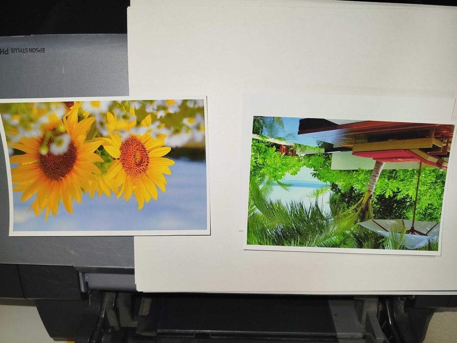Epson R270 Ranglik printer