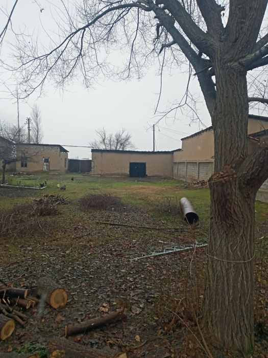 Yer sotiladi Zangiota tumanida