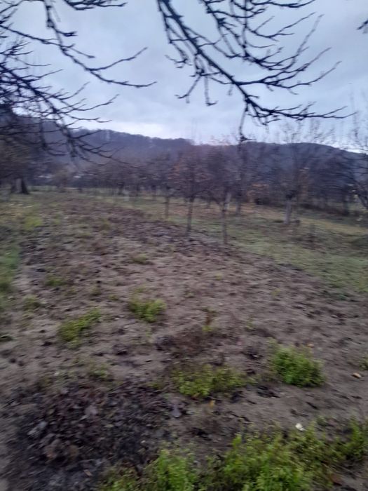 Vând proprietate spre Transfagarasan