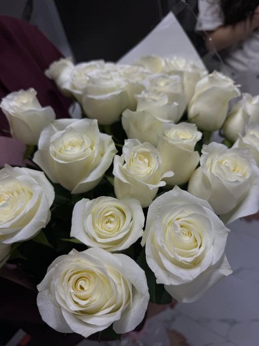 Букет из свежих роз 25 шт