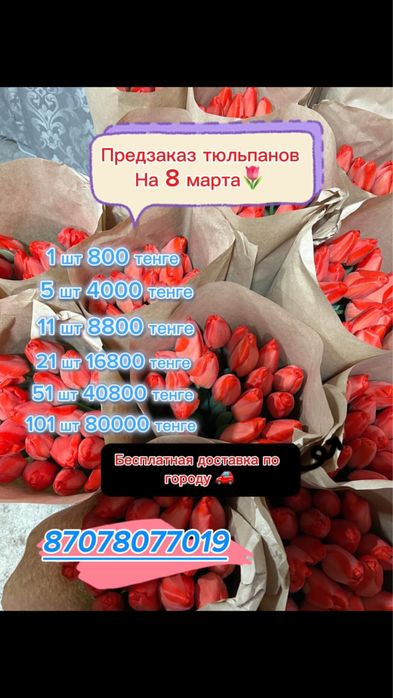 Продаю тюльпаны