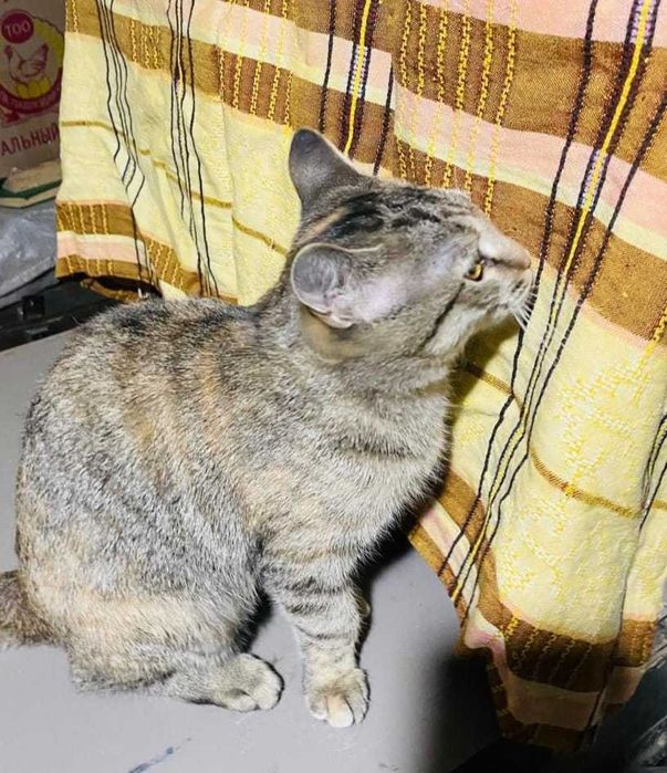 По дороге к счастью ... девочка Ева