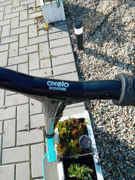 Trotineta pana la 100 kg. Pret 150 lei fix