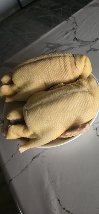 Утки цена за 1кг 3500