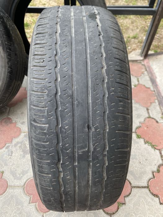 Продам ризины хорошие