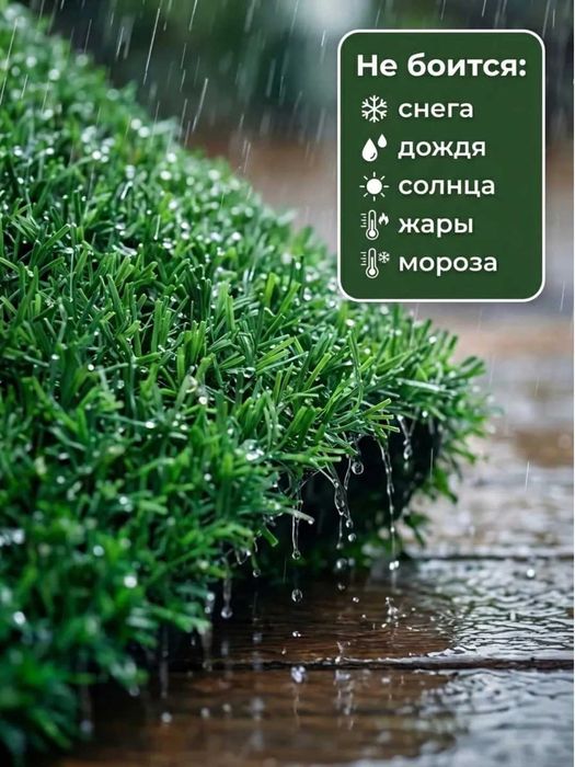 Devor va panjara uchun dekorativ yashil panellar va ekozaborlar
