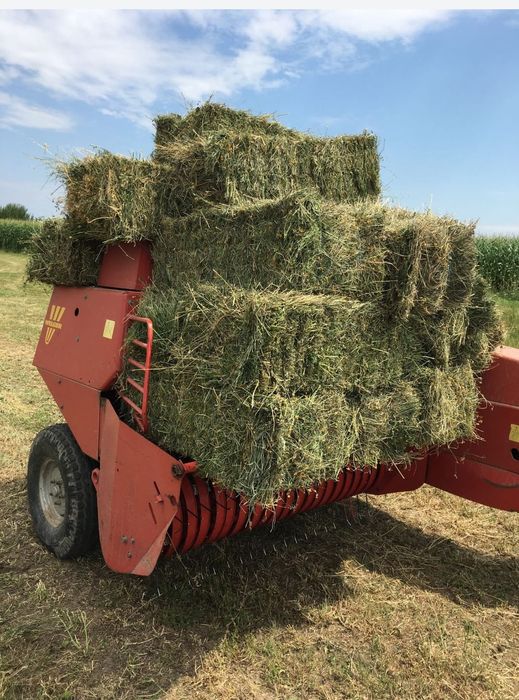 Vând baloți de fan