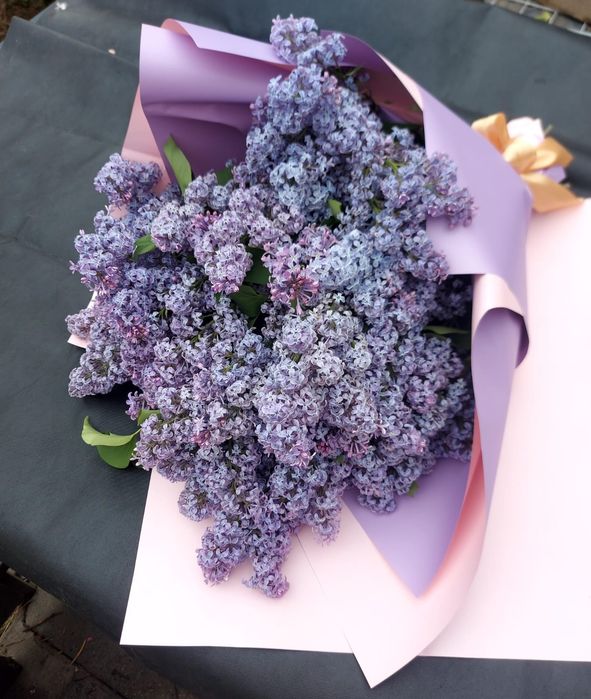 Продам Сирень на срез