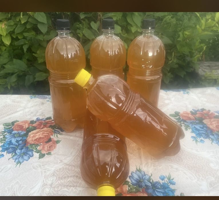 Продам мед горный Катонский