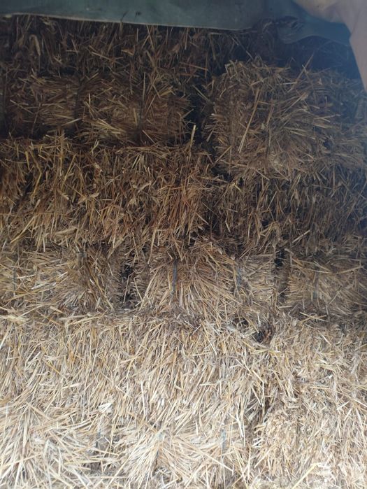 Vand baloti de paie de trichitale