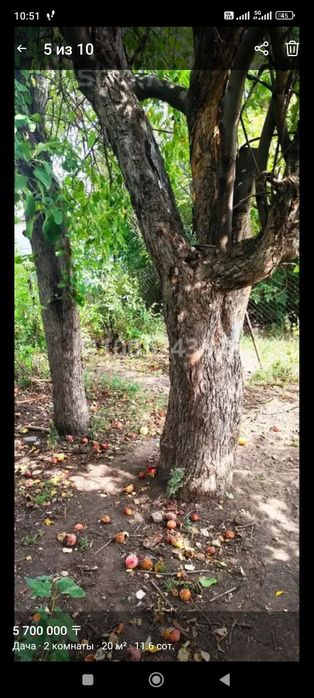 Дача , район Алтын алма