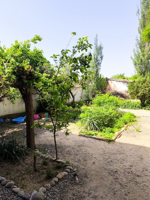 Uy sotiladi 8 sotix 12 hona suv svet bor uyni oʻzidaham Artezian bor