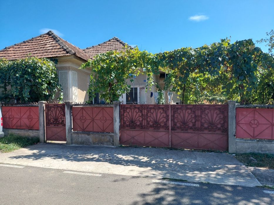 Casa 3 camere + Sura si anexe