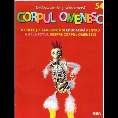 Colectie corpul omenesc