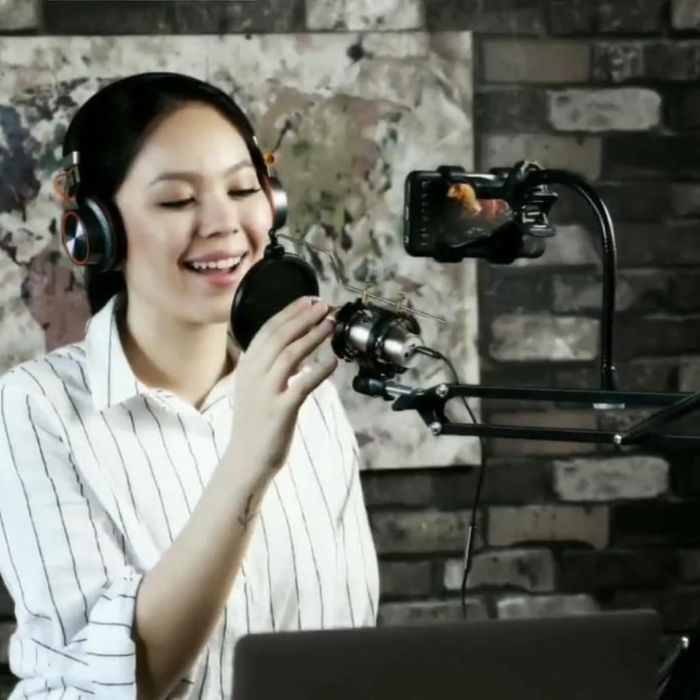 Пантограф стойка для микрофона подставка для микрофона remax