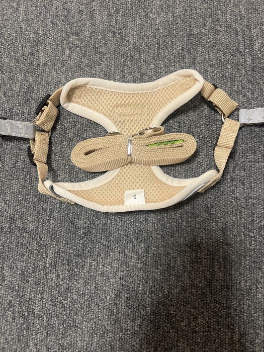 Ham si lesa de caine de talie mica