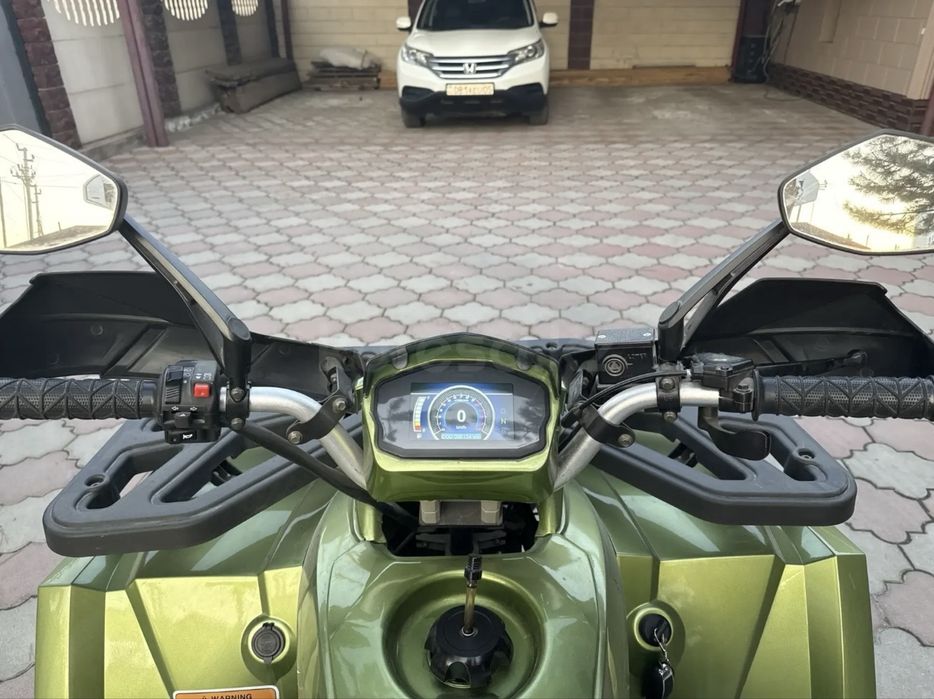 Квадроцикл Tao motor linko 250